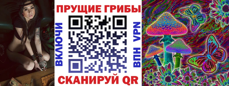 Псилоцибиновые грибы Psilocybine cubensis  Луховицы 